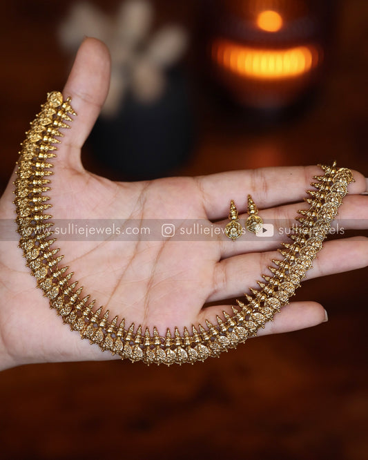 Coin Necklace / Kaashu Maala Set